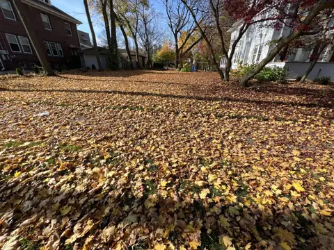Autumn leaves covering a lawn between homes before cleanup