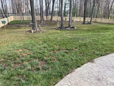 The same backyard with leaves removed after cleanup